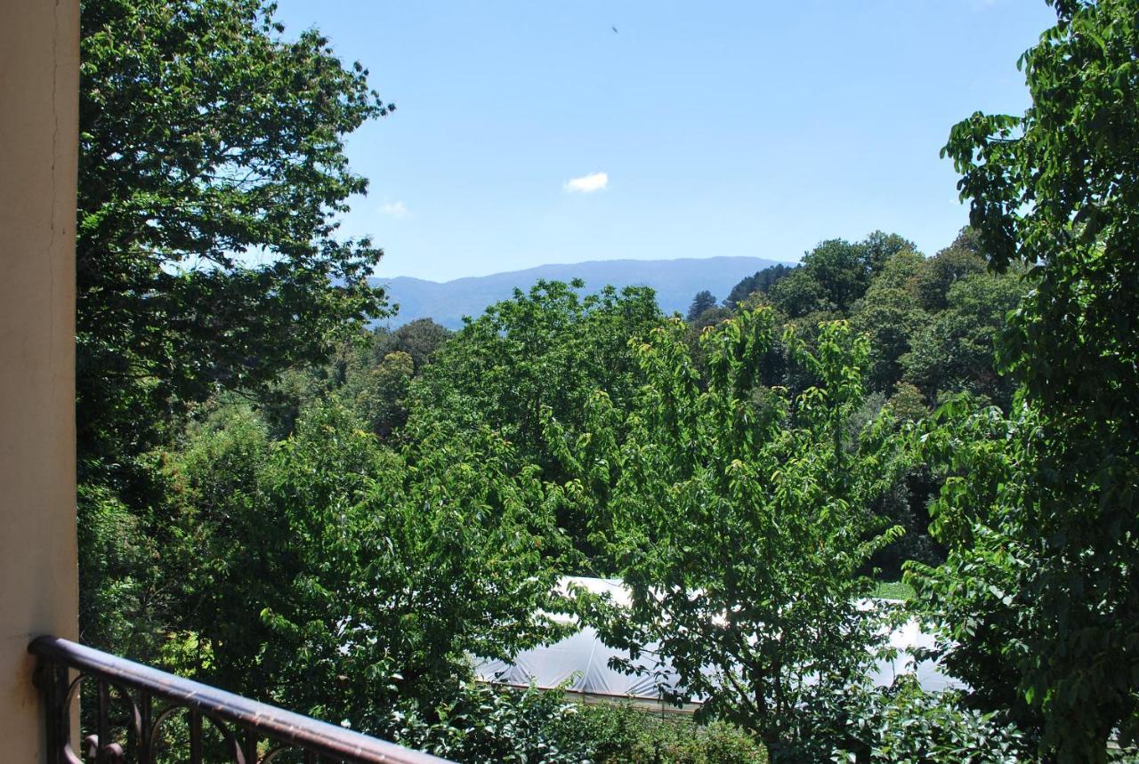 Willa Agriturismo Roseto Serra San Bruno Zewnętrze zdjęcie